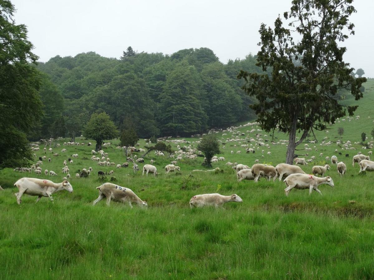 Du Cote De Lacoume Anla Exterior photo